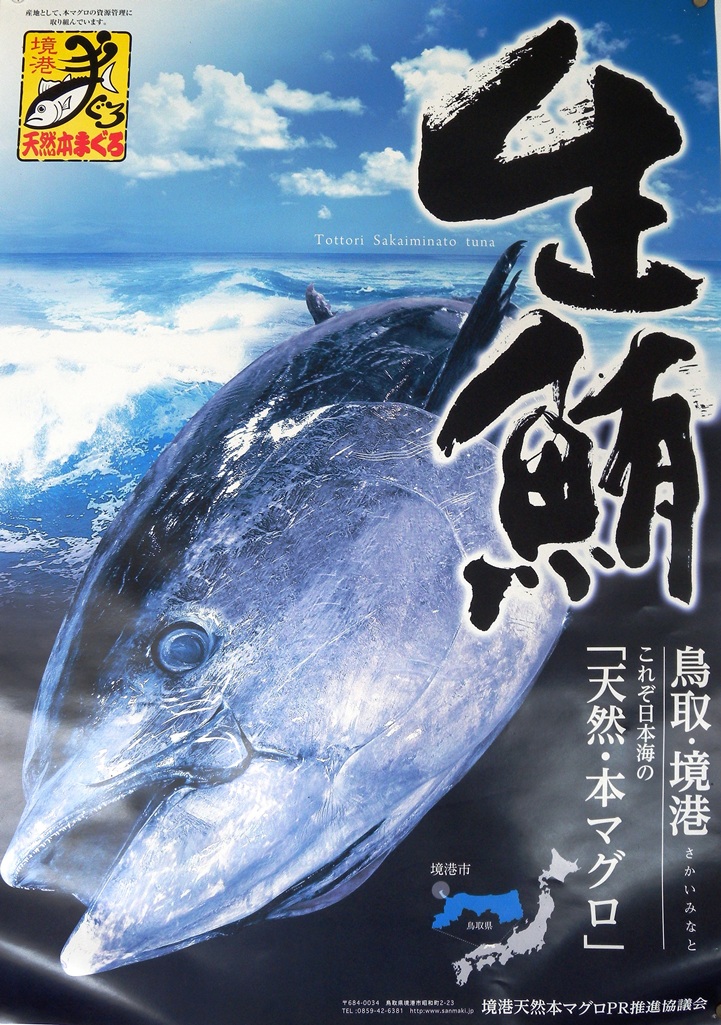 神崎郡福崎町 回転寿司 海舟丸 長尾商店グループ 境港 天然本まぐろ 特売 入荷日決定