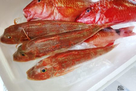 今週末の特選鮮魚です。